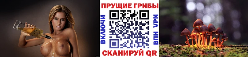 Галлюциногенные грибы GOLDEN TEACHER  Снежинск 